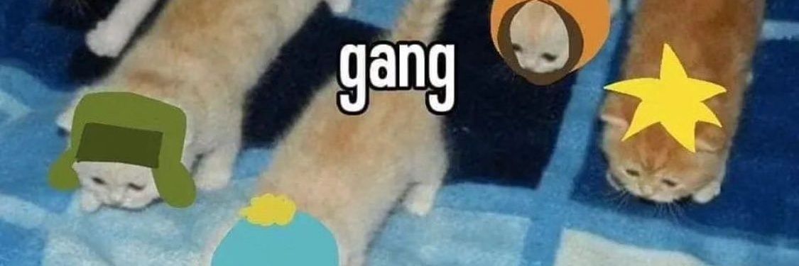 Galvan152000's profile banner image