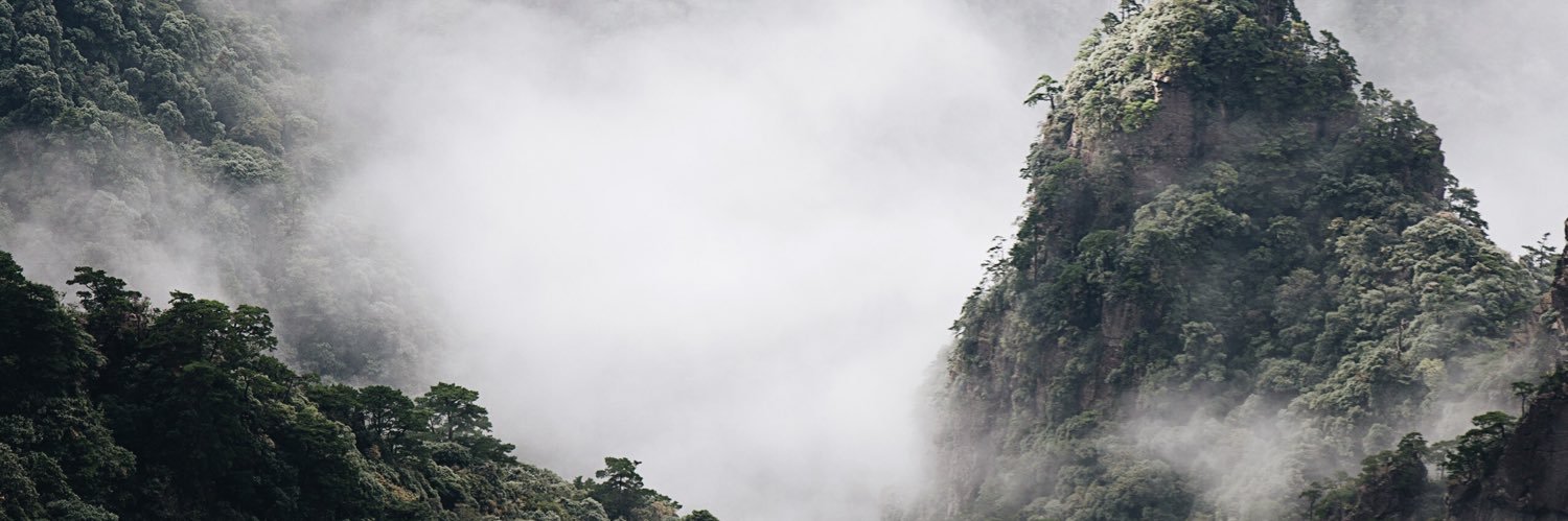 ethanzol's profile banner image