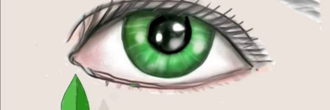 BilgeAta7's profile banner image