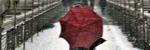 achereden's profile banner image