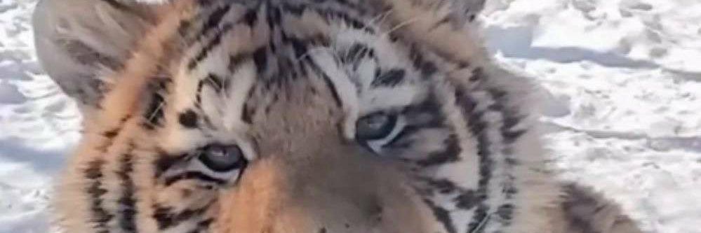 imhouzi's profile banner image