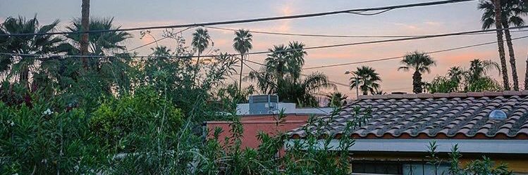 MacyTramblay's profile banner image