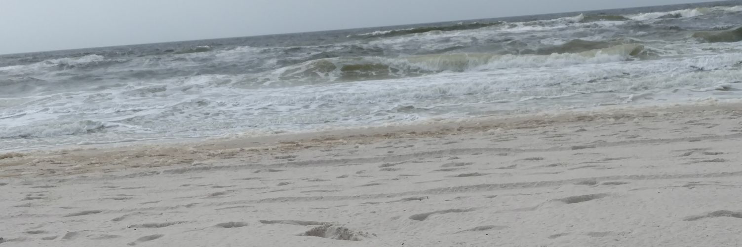 haileyhold17's profile banner image