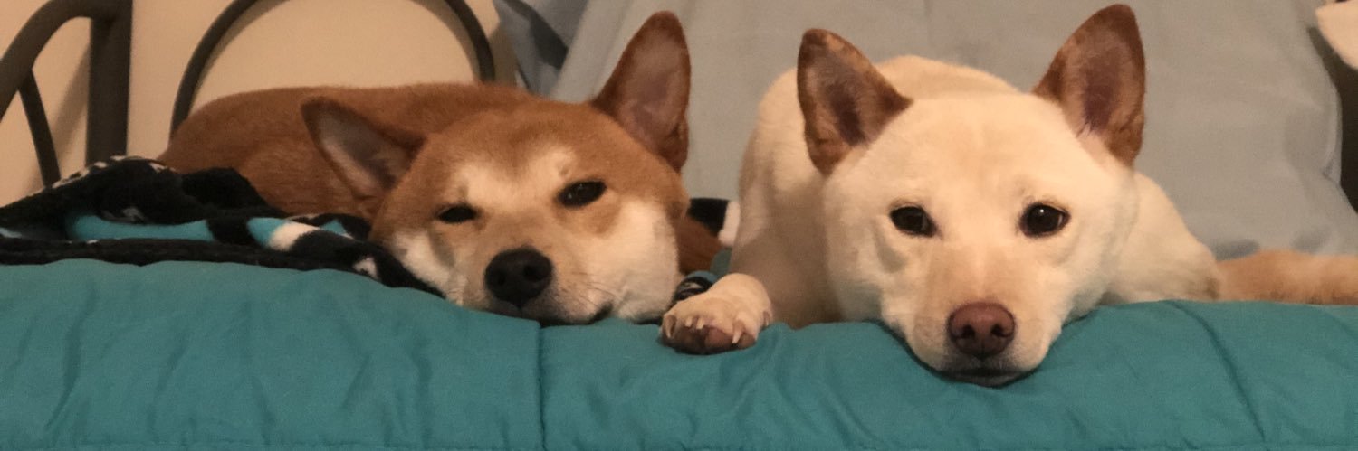 daniilynn522's profile banner image