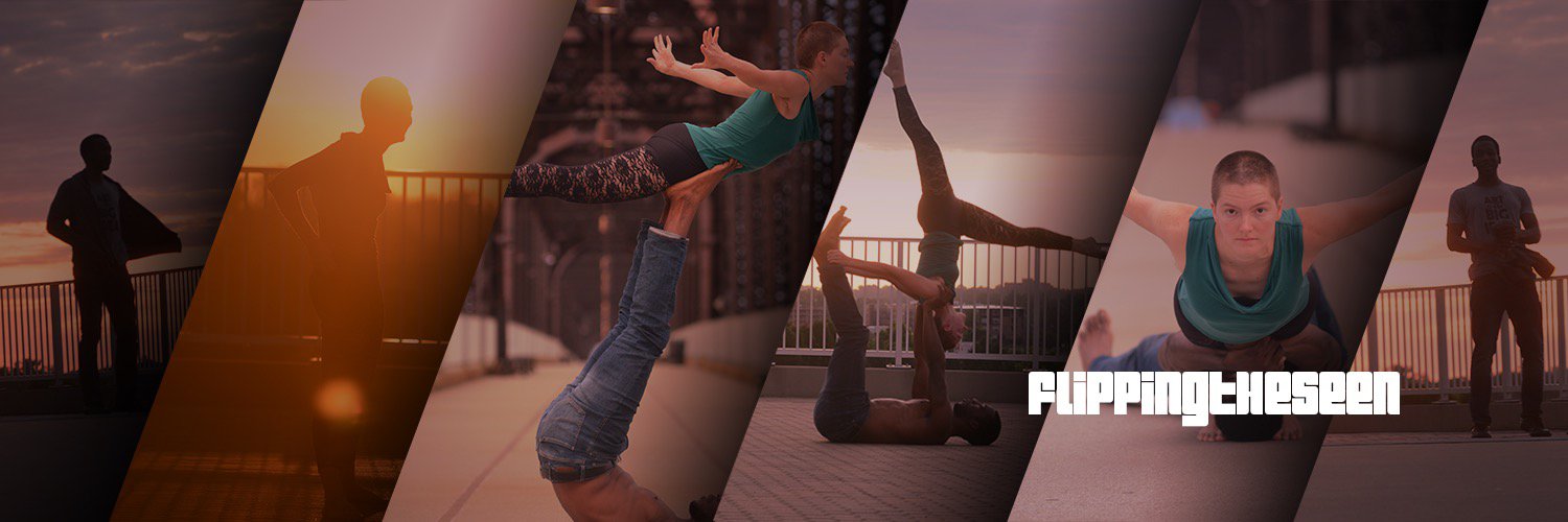 flippingtheseen's profile banner image