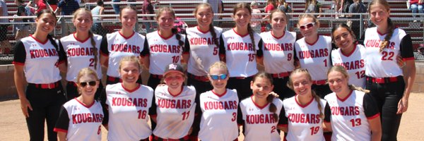 kvsoftball Profile Banner