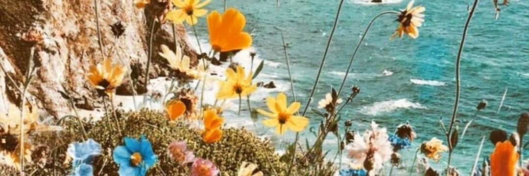 Mari3_95's profile banner image