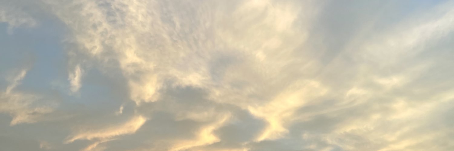 flickerofhopeG's profile banner image