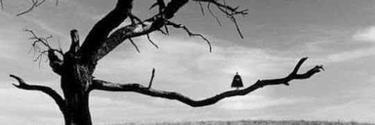 Onlyfansxim's profile banner image