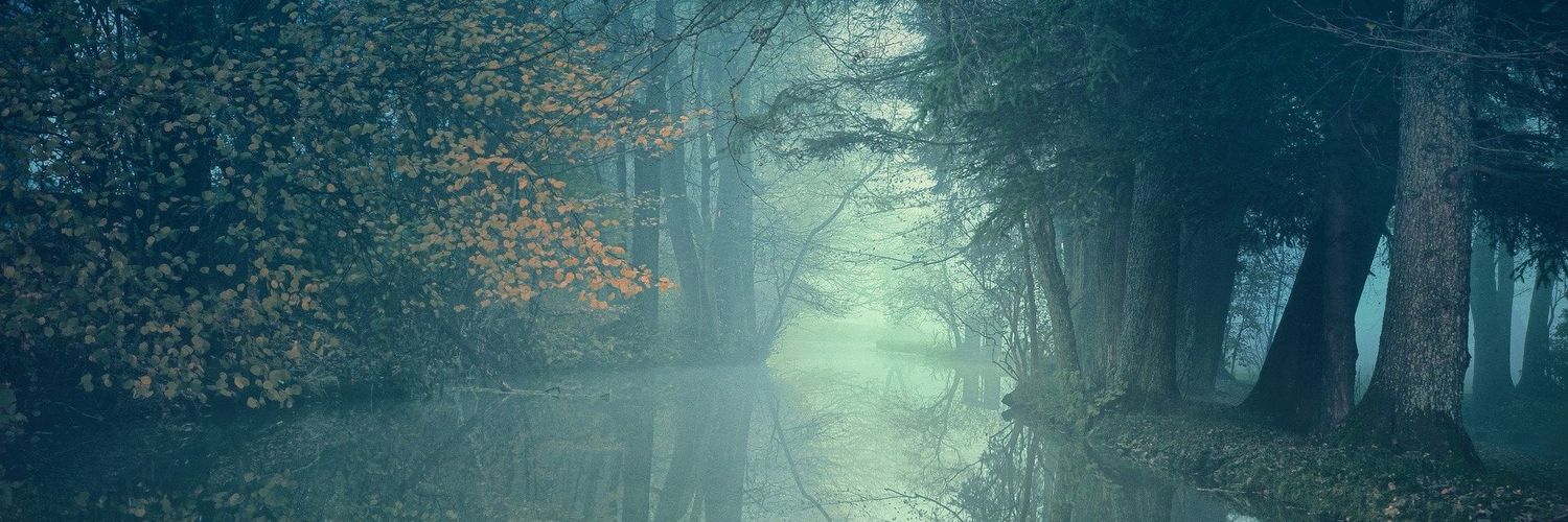 KromeySS's profile banner image