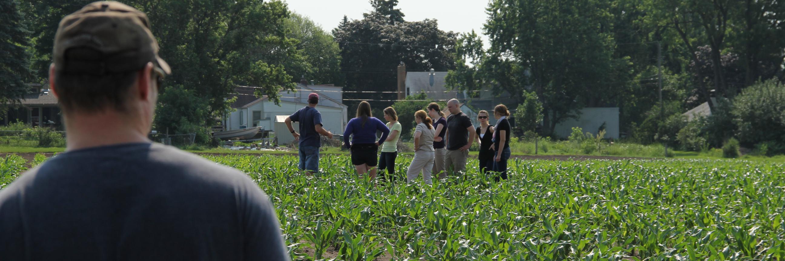 Nathan Springer banner
