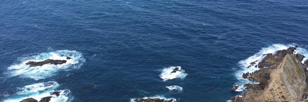 y1w3politics Profile Banner