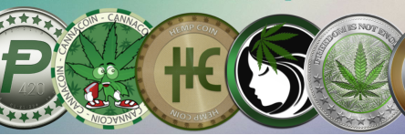 420_AI_Finance's profile banner image