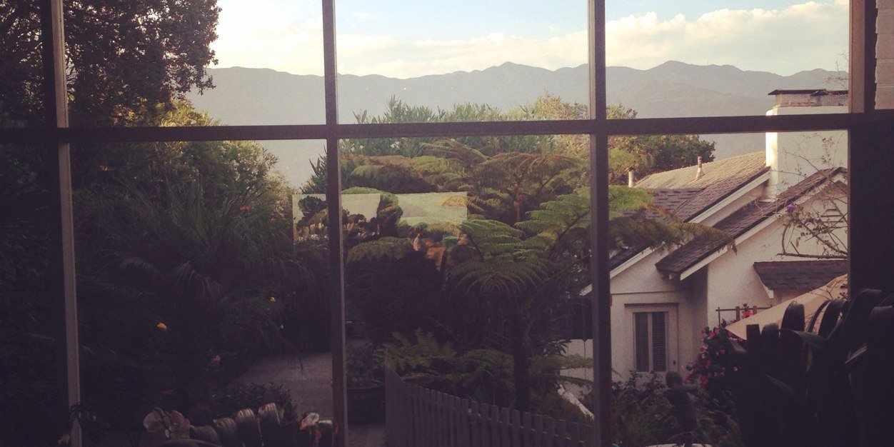 Layla Wolf-Zarpak banner