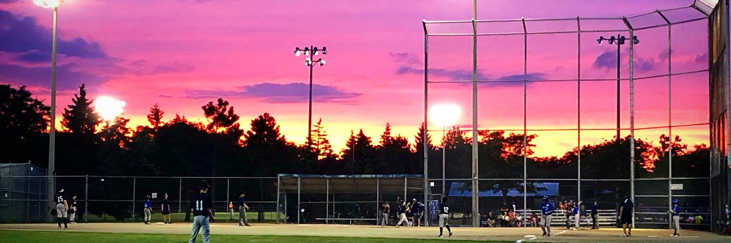 MSBA Baseball banner