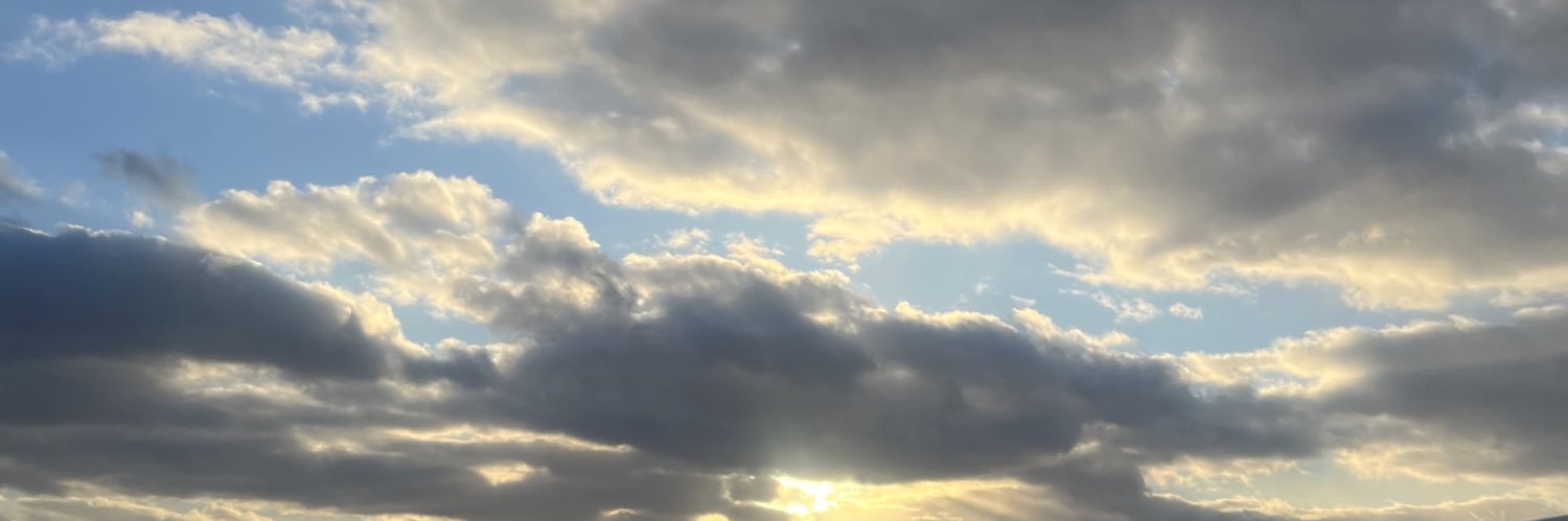 devantevsh's profile banner image