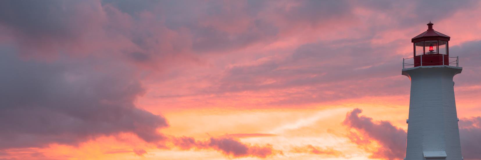 CSHP NS Branch banner
