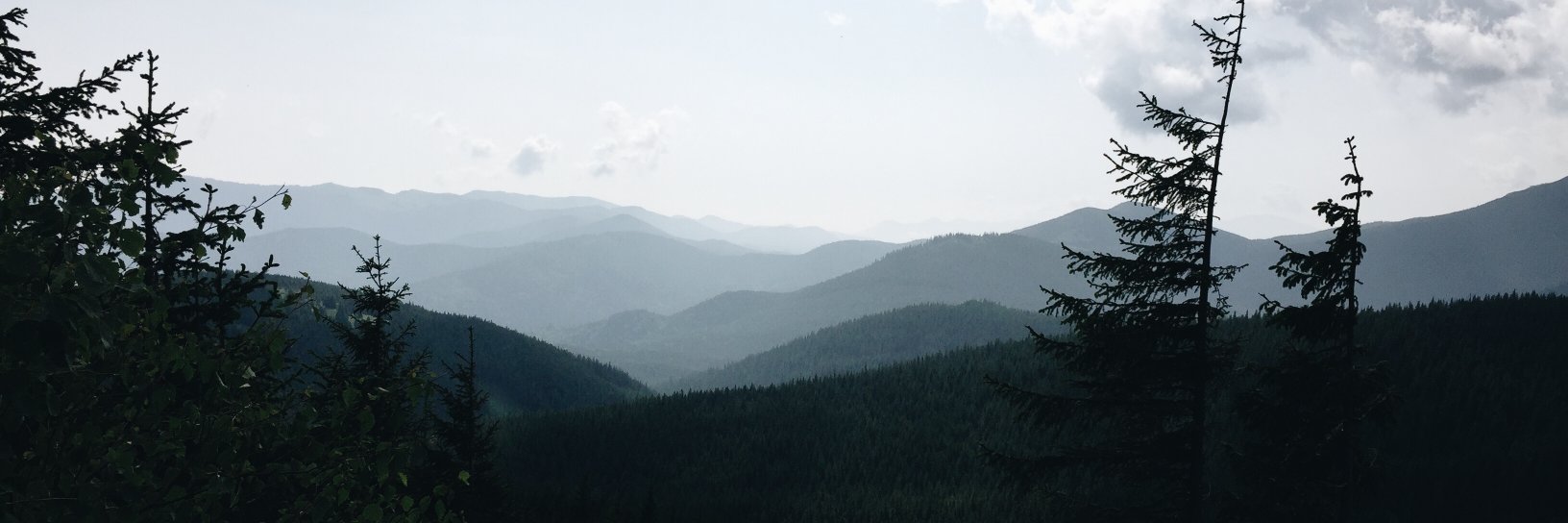 bstakbk's profile banner image