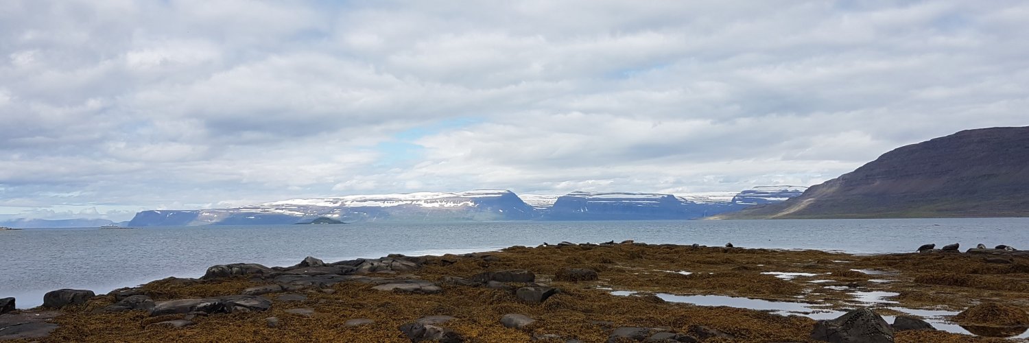 Yury Liavitski banner