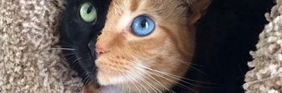 GranLLY's profile banner image