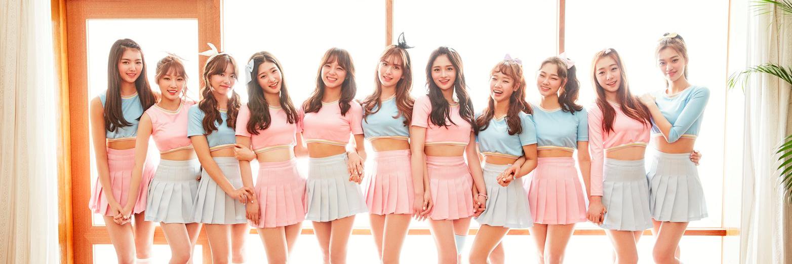 somiflora's profile banner image