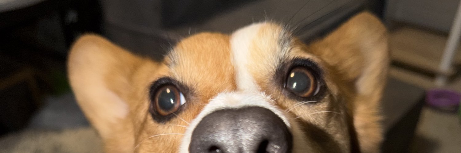 ToyinWasTaken's profile banner image