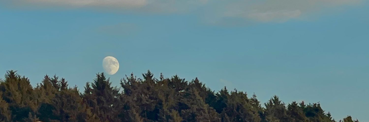 nah_cole's profile banner image
