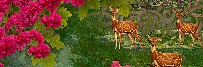 KinnariValia banner