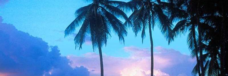 HSZ banner