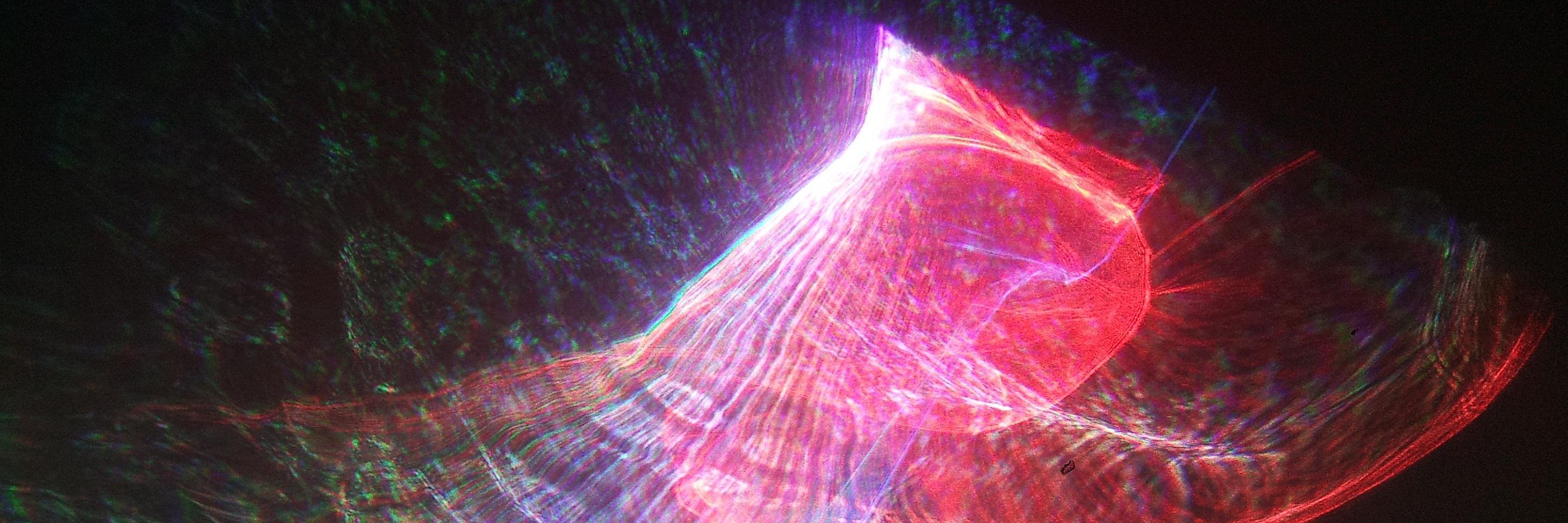 NextLevelLasers's profile banner image