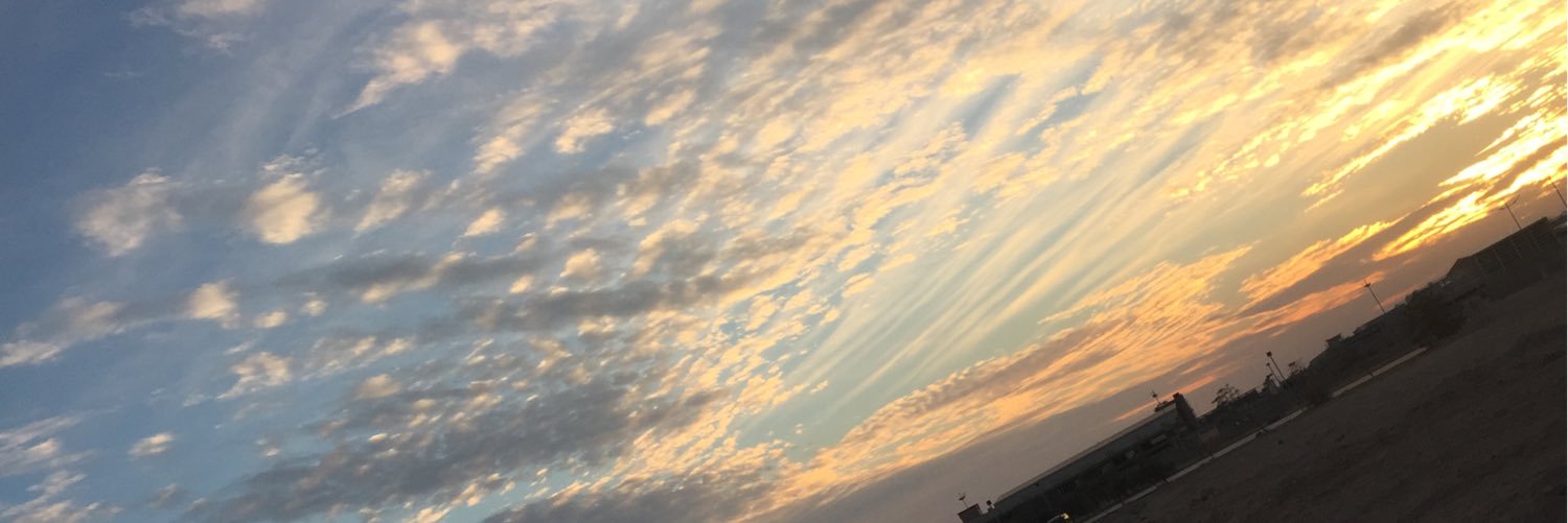 SSeofi's profile banner image