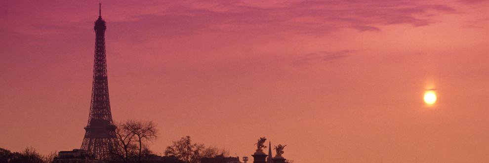 SOrellane's profile banner image