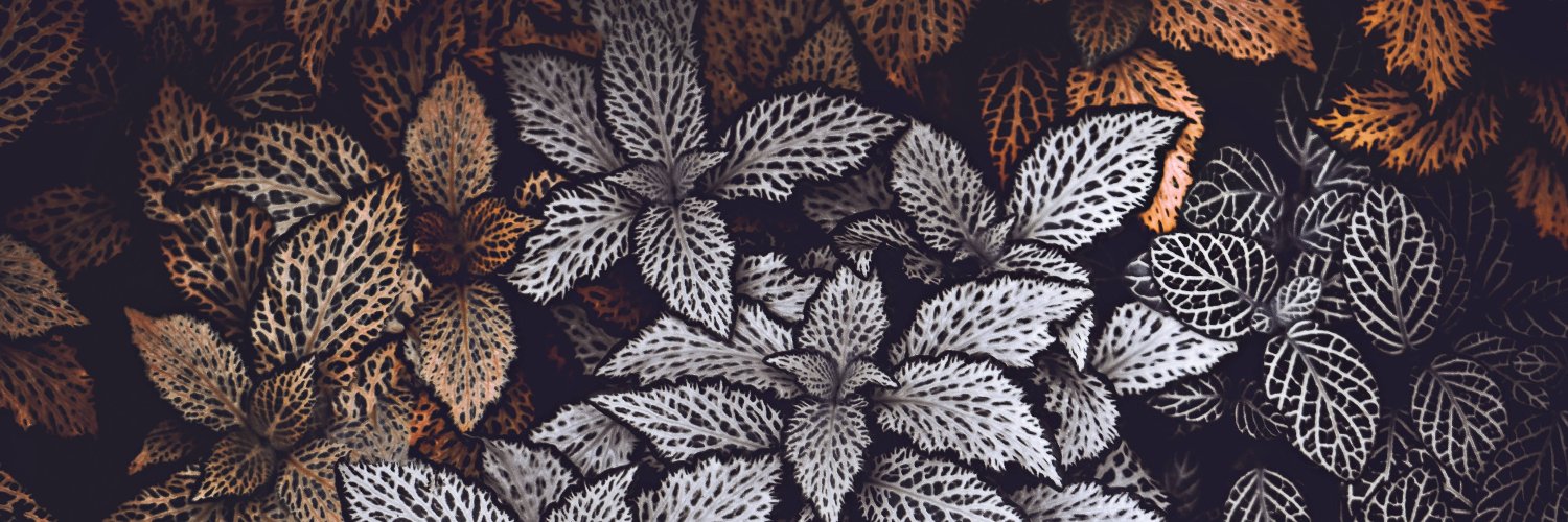 sanctuarySarah's profile banner image