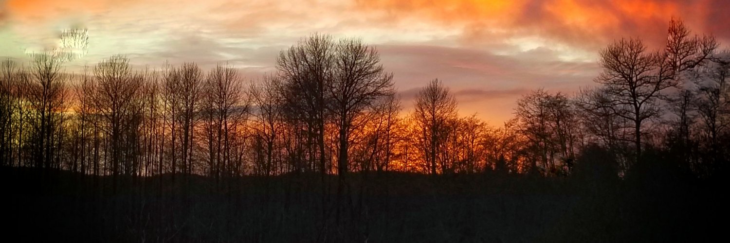 Puffmonkeydonke's profile banner image