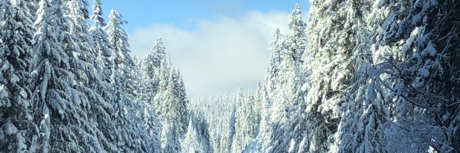 KweenKimblee's profile banner image