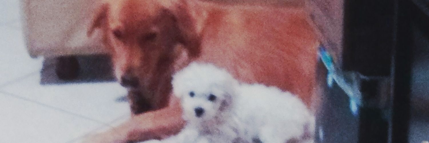 MaiiOrozcom's profile banner image