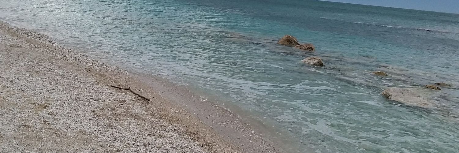 robertapergole2's profile banner image