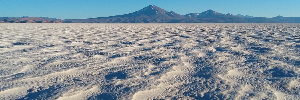 Alberto Ardid banner