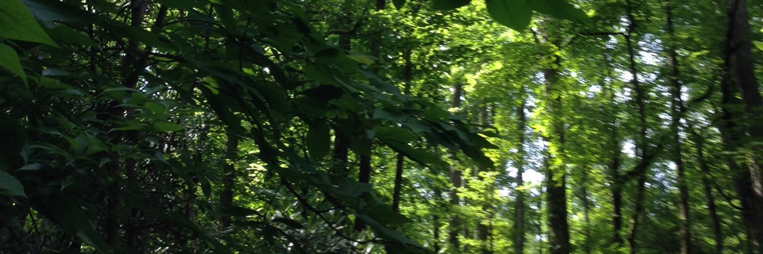 markw2701's profile banner image