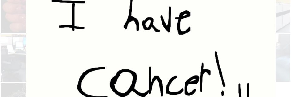 LoganKittyCat's profile banner image