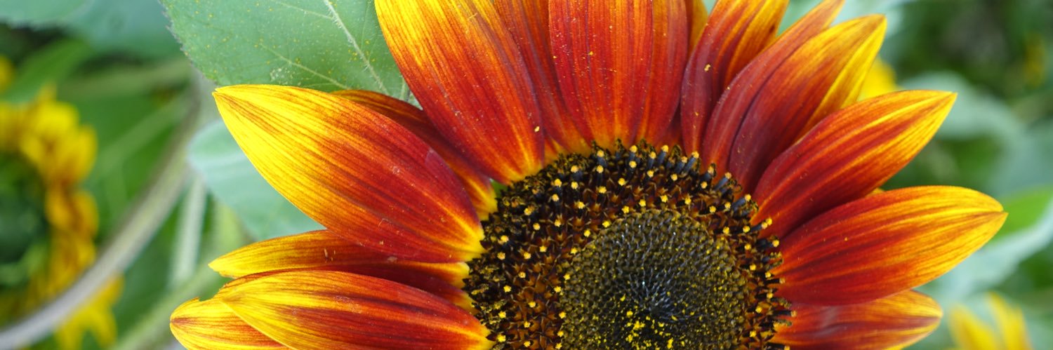 care6928's profile banner image