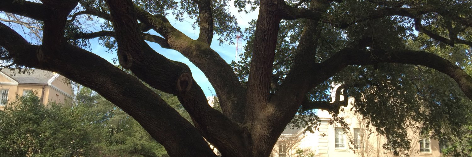 CalePearin's profile banner image