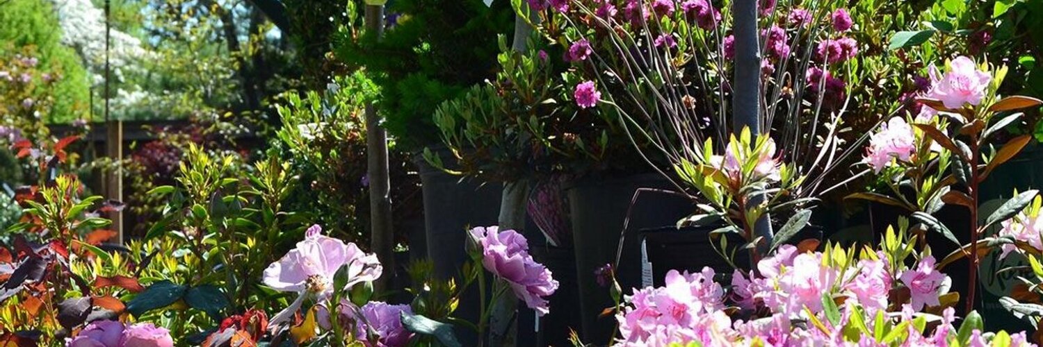 Weston Nurseries (westonnurseries) / Twitter