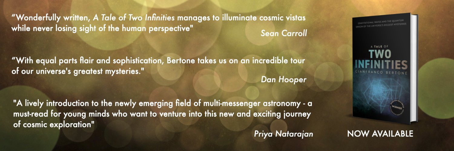 Gianfranco Bertone banner