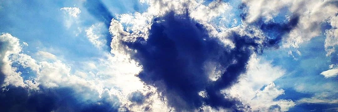 dizz19's profile banner image
