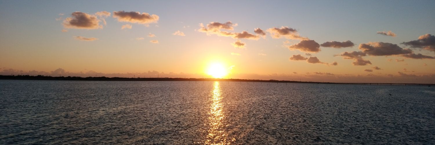 DAN31208140's profile banner image