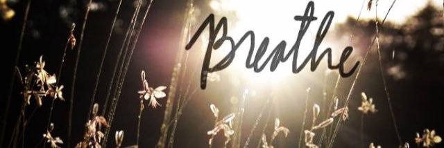 MelanieFerrato's profile banner image