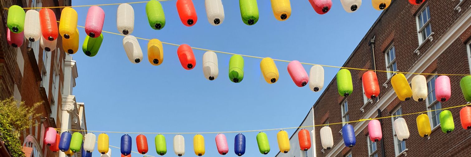 Dr Leah Webster banner