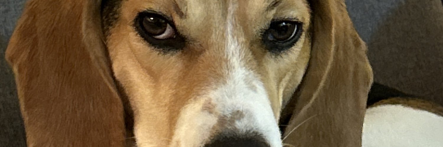 pacifistmlg's profile banner image