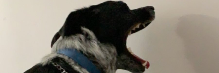 9bagsofchips's profile banner image